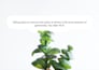 batch automate sayings and quotes wallpaper in photoshop